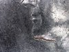 1641081435173.jpg