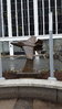 20160412_075601.jpg