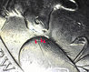A024 - 20160412_181958.jpg