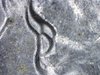 16412201236296.jpg