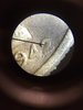 1942 mercury dime.JPG