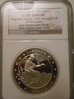 100dollarunionsilverpattern.jpg