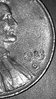 CM160504-06033808.jpg