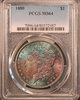 1880Toning64.3.JPG