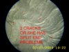 1880 0 die crack 3.JPG