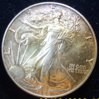 silver eagle obversejpg.jpg
