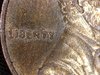 16517192928256.jpg