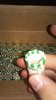 20160528_133305.jpg
