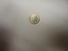 DSC02445.JPG