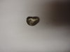 DSC02450.JPG