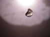 DSC02452.JPG