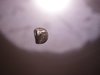 DSC02454.JPG