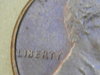 RSCN2491.JPG