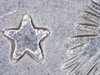 1665123636710.jpg