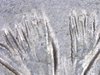 1665123819804.jpg