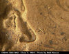 1969s1do002ma.jpg