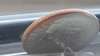 20160609_120559.jpg