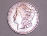 morgan dollar 003.jpg