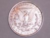 morgan dollar 004.jpg