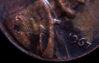 lincu6.jpg