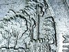 oak-5.jpg