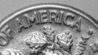 amerlines1.jpg
