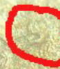 1970D%282%29.jpg