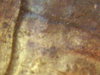 1959-D lmc ST 1.jpg