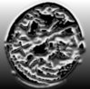 coin1.jpg