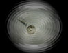 water_coin1.jpg