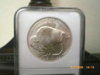 2001 D Buffalo Reverse MS69.JPG