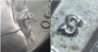 0040S_PT&MM.jpg