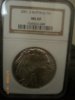 2001 D Buffalo NGC MS69.JPG