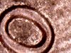 Tue Aug 16 18-16-49.jpg