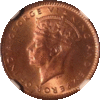 147154300098465 (1).gif