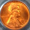 1950-D PCGS 66 O.JPG