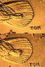 sacagawea_cheerios_dollar-117x175.jpg