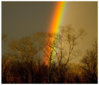 art_rainbow.jpg