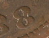 1888 penny with last 8.jpg