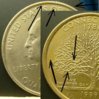 1999 P Oberse.jpg