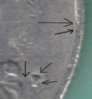 lastscan3.jpg