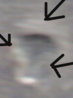 lastscandddpp2.jpg