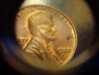 1979 small S.jpg