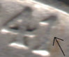 lastscan21.jpg