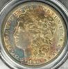 1879 Morgan OBV.JPG