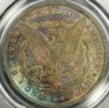 1879 Morgan REV.JPG