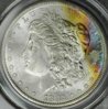 1882S Morgan OBV.JPG