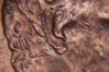 1997 Double ear-2.jpg