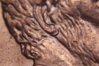 coins001.jpg