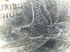 1D-SAC-2000D-MS65-WND-1001-Er1.jpg